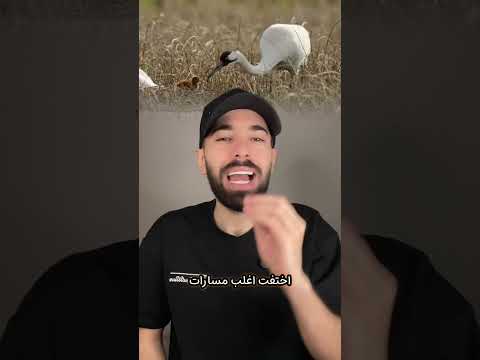 قصة هذه الصورة حرفيا جنونية thumbnail