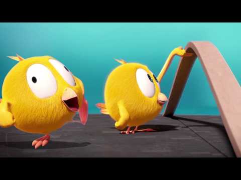 Where's Chicky? | Chicky going crazy! | A Xilam Series | Xilam TV thumbnail