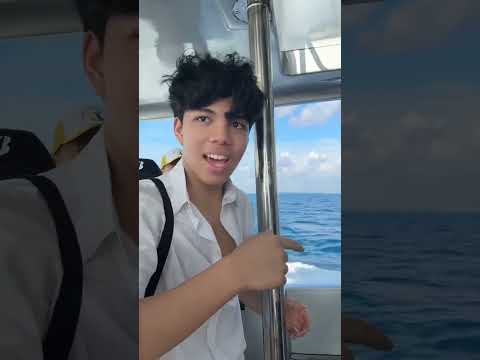 Melaut mencari one piece? thumbnail
