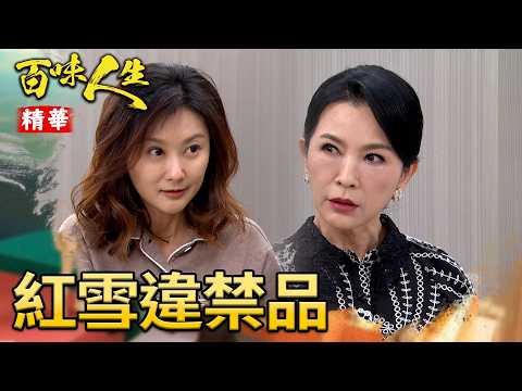 紅雪裝瘋裝不下去了！喬安娜得到「靠山」拆台！｜#百味人生 精華 EP193｜三立台劇 thumbnail