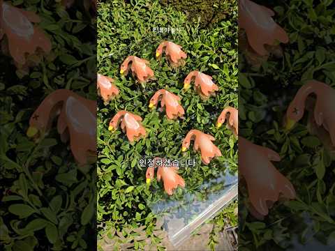 자외선 오리로 인기 선크림 싹다 발라보기 ㅋㅋ thumbnail