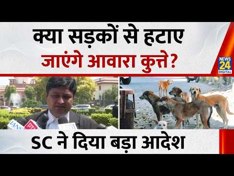 Stray Dogs Case Verdict: क्या दिल्ली की सड़कों से हटाए जाएंगे आवारा कुत्ते? SC ने दिया बड़ा आदेश thumbnail