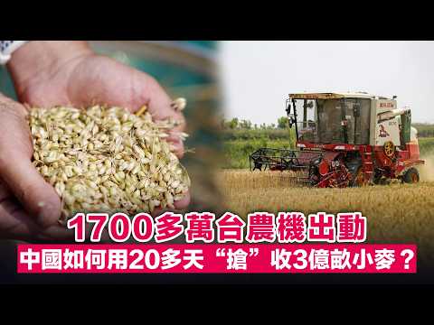 1700多萬台農機出動，中國如何用20多天“搶”收3億畝小麥？ thumbnail