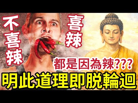 #佛禪 必聽！明白即離苦！喜歡辣「不喜歡辣」都是因為辣！你明白當中道理「做人再沒有任何問題」 thumbnail