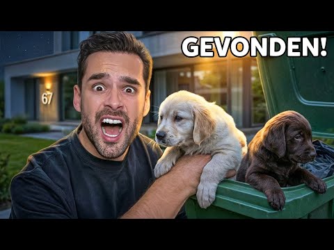 PUPPY GEVONDEN BIJ ONS HUIS! *Wie is het baasje?* thumbnail