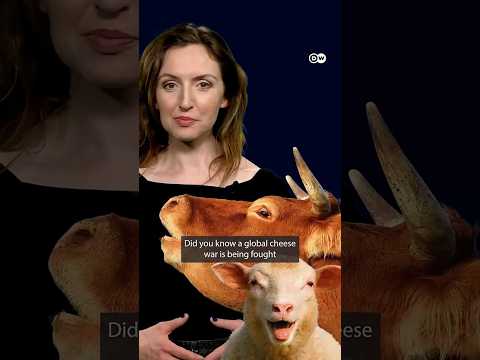 Is Europe losing the cheese wars? The global fight over food names | DW News thumbnail
