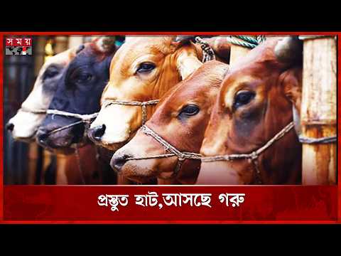 রাজধানীর হাটে ট্রাক-পিকআপে গরু নিয়ে আসছেন ব্যবসায়ীরা | Qurbani Eid | Somoy TV thumbnail
