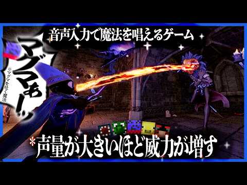 音声入力で魔法が出るゲーム、なんと声量で威力が上がるといううってつけ過ぎる仕様だった【YAPYAP】 thumbnail