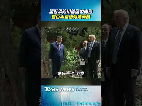 習近平陪川普遊中南海　看百年老樹有感而發｜TVBS新聞@TVBSNEWS01 thumbnail