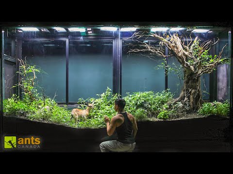 I Added a Baby Goat Into My Giant Grassland Vivarium thumbnail
