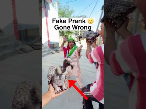Fake Vulture Prank ? Gone Wrong ? thumbnail