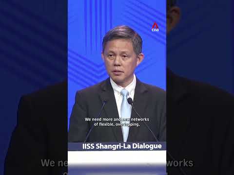 Singapore Defence Minister Chan Chun Sing on the ‘regulation paradox’ thumbnail
