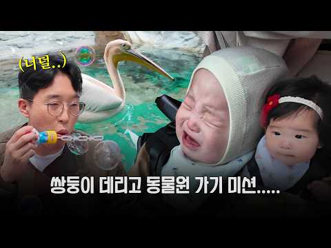 쌍둥이와 동물원 봄나들이 대참사 thumbnail