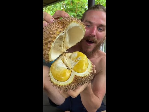 I Couldn't Believe What Was Inside This Fruit thumbnail