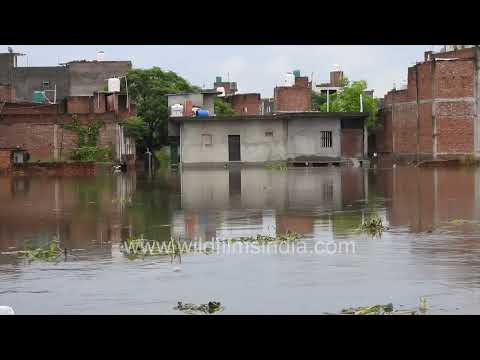 July 2023 flooding along the Hindon River in Ghaziabad thumbnail