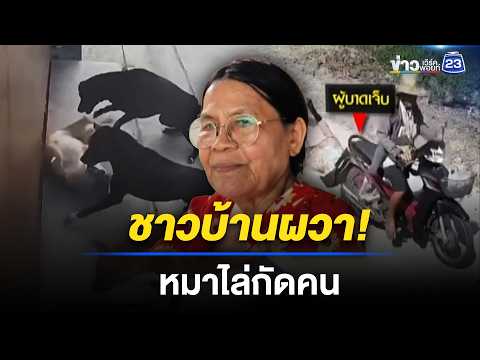 สุนัขซอยทวีวัฒนา-กาญจนาภิเษก 20 ยึดถิ่นไล่ฟัดชาวบ้าน l ข่าวเที่ยงเวิร์คพอยท์ l 21 พ.ค. 69 thumbnail
