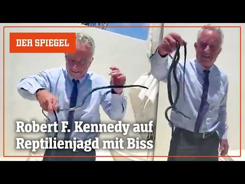 US-Gesundheitsminister postet Video: Reptilienjagd mit Biss | DER SPIEGEL thumbnail