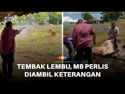 MB Perlis dirakam keterangan, polis rampas senjata berkait kes tembak lembu thumbnail