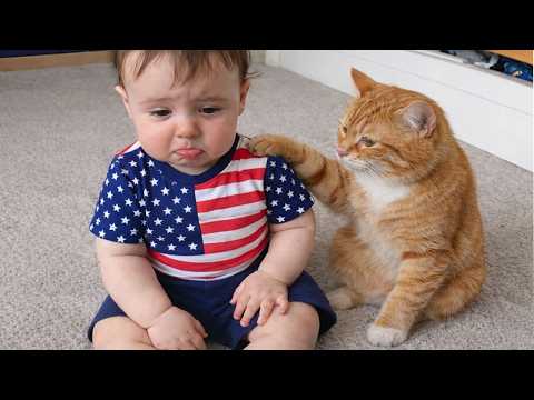 When Your Cat Becomes The Little Nanny ?❤️? Cute Animal and Kid thumbnail