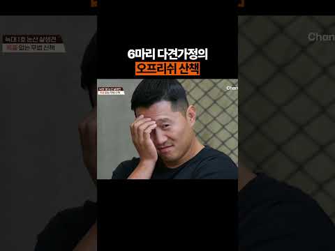 대형견 데리고 오프리쉬? #개늑시 #개와늑대의시간 thumbnail
