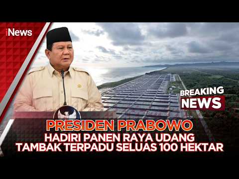 ?BREAKING NEWS - Presiden Hadiri Panen Raya Udang Vaname di Tambak Terpadu Seluas 100 Hektar (23/05) thumbnail