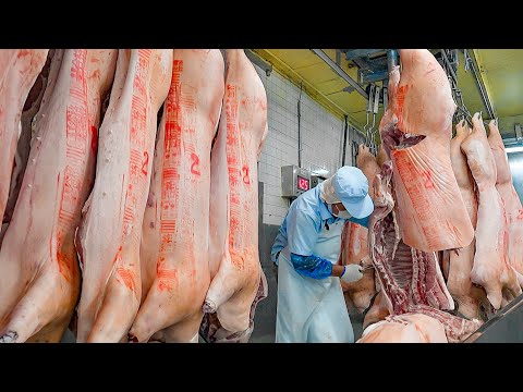 Takasaki Ham & Chicken Breast Production in Mass Processing Food Factory / 高崎火腿, 桃木燻雞胸加工 thumbnail