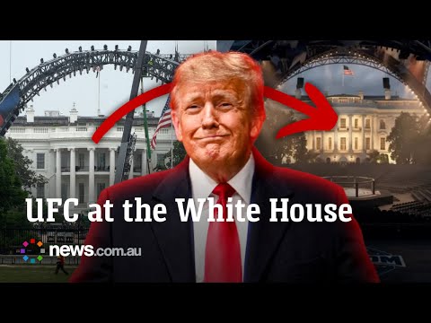 White House transforms into UFC arena for Trump birthday fight night thumbnail
