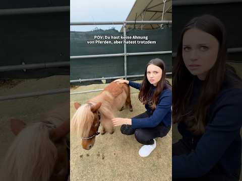 Welcher Spruch fällt euch noch ein?😂 ​⁠@h@heyhorse9017horse #fail #pov #pferd #pony thumbnail