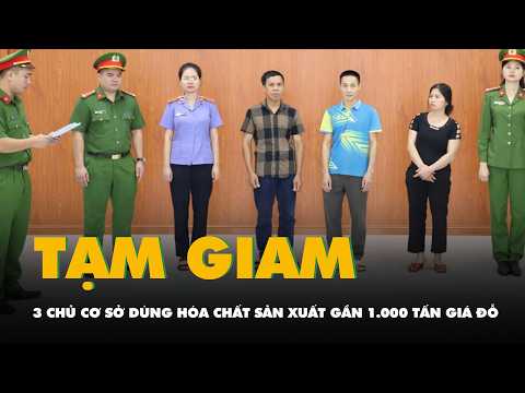 Bắt tạm giam 3 chủ cơ sở dùng hóa chất 6-BAP sản xuất gần 1.000 tấn giá đỗ thumbnail