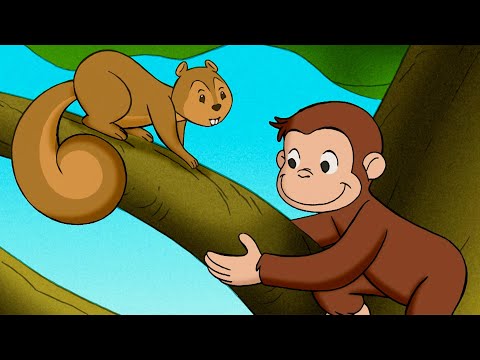 ¡La casa del árbol de Jorge! | Jorge El Curioso En Español thumbnail
