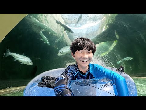 Family Trip Water Park Swimming Indoor Playground for Kids thumbnail