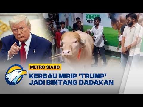 Kerbau Mirip “Trump” Curi Perhatian Warga Bangladesh [Metro Siang] thumbnail