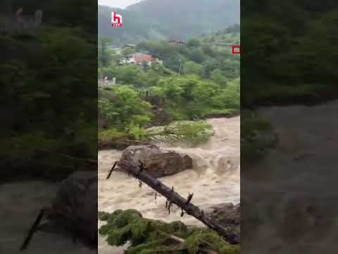 Artvin'de sağanak nedeniyle dere taştı, bölgede beş köyün ulaşımını sağlayan kara yolu hasar gördü! thumbnail