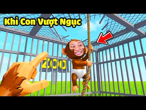 [ROBLOX] JayGray Là Khỉ Con Vượt Ngục Khỏi Sở Thú Ăn Thịt🥩🐒Thử Thách Đào Hầm Trốn Thoát Khỏi Nhà Tù thumbnail