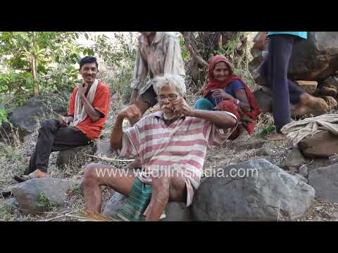 Elderly Musician Playing a Mouth Organ Outdoors thumbnail