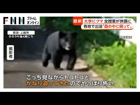 ハンター歴50年のベテランに密着 猟銃片手に巣穴へ クマ不在も生々しい爪痕 岩手では大学構内にクマ出没 全授業が休講に（2026年05月14日） thumbnail