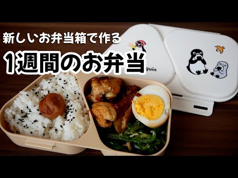 Suicaのペンギンお弁当箱で！一人暮らしの平日一週間お弁当 thumbnail