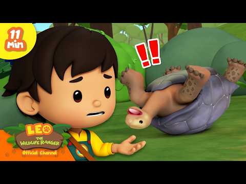 HOW DID THIS TORTOISE GET FLIPPED OVER?! | Leo the Wildlife Ranger | Animal Learning Cartoons thumbnail