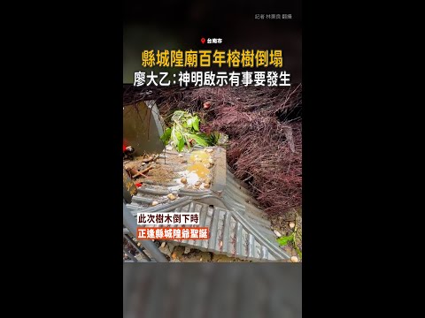 【神明啟示？】台南縣城隍廟百年榕樹倒塌！廖大乙：有事要發生 thumbnail