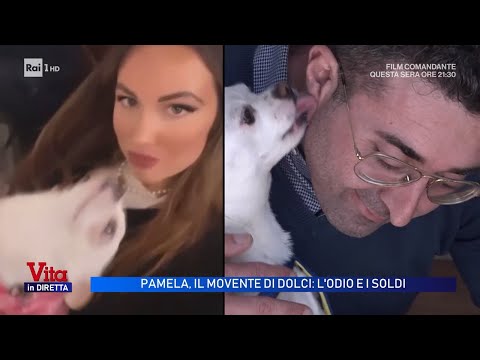 Profanazione Genini: il presunto movente di Dolci, parla la madre di Pamela - Vita in diretta thumbnail