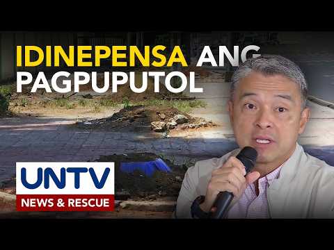 Pagpuputol ng puno para sa isang expressway project, idinepensa ng DENR thumbnail