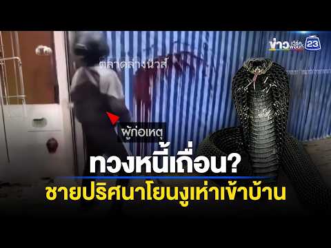 ทวงหนี้เถื่อน? ชายปริศนาโยนงูเห่าเข้าบ้าน l ตลาดข่าว - ข่าวเช้าเวิร์คพอยท์ l 16 พ.ค.69 thumbnail