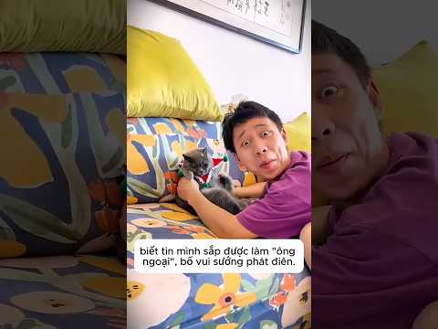 Mèo Ngửi Chân Thối 🤢 & Chuột Hamster Trốn Tìm 🐹💰 thumbnail