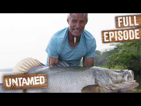 Catching Largest Nile Perch Who Eat Prey Whole!  | Full Episode thumbnail