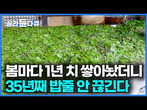 전국에서 먹겠다고 줄 선다. 손님들이 고기보다 찾는 음식｜심은 적 없는데 매년 자란다. 지리산 숲속 식당이 35년째 밥줄 안 끊기는 이유｜한국인의 보약 산나물｜극한직업｜#골라듄다큐 thumbnail
