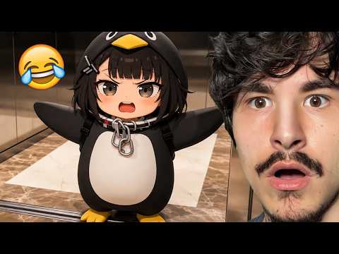 Gugu Gaga Penguen Kim? thumbnail