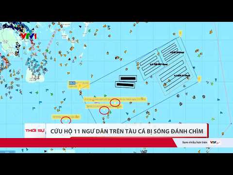 Đã cứu 9 trong tổng số 11 ngư dân trên tàu chìm ở vùng biển gần Bạch Long Vĩ (Hải Phòng) | VTV24 thumbnail