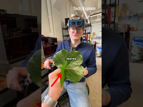Can you use leaves to design microchips? thumbnail