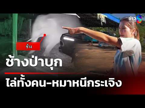 คน-หมาหนีกระเจิงถูกช้างป่าวิ่งไล่ | 4 มิ.ย. 69 | คุยข่าวเช้าช่อง8 thumbnail