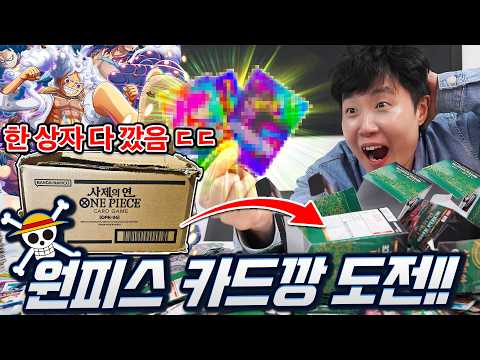 스케일부터 다른 원피스 카드깡!! 1카톤(상자) 전부 다 까봤습니다!! 몇백만원 카드가 뜬다고?!! thumbnail
